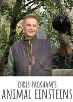 Watch Chris Packham's Animal Einsteins 2kmovies