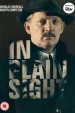 Watch In Plain Sight Fmovies