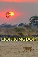 Watch Lion Kingdom Gomovies