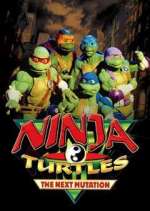 Watch Ninja Turtles: The Next Mutation 2kmovies