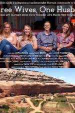 Watch Three Wives One Husband Gomovies
