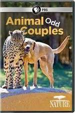 Watch Animal Odd Couples Fmovies