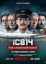 Watch IC 814: The Kandahar Hijack Fmovies