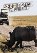 Watch Secret Safari: Into the Wild Fmovies