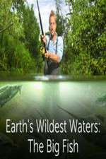 Watch Earths Wildest Waters The Big Fish Gomovies