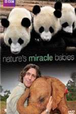 Watch Natures Miracle Babies 2kmovies