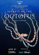 Watch Secrets of the Octopus Gomovies