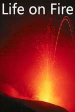 Watch Life on Fire Fmovies