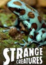 Watch Strange Creatures Fmovies