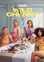 wild cherry season 1 episode 1 tv poster