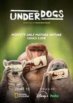 Watch Underdogs Fmovies