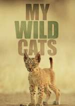 Watch My Wild Cats Fmovies