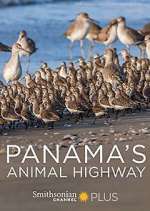 Watch Panama's Animal Highway Fmovies