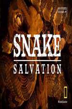 Watch Snake Salvation Fmovies