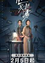 Watch Lies Never Lie Fmovies