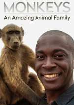 Watch Monkeys: An Amazing Animal Family Fmovies