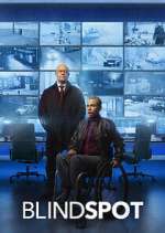 Watch Blindspot Gomovies