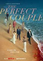 Watch The Perfect Couple 2kmovies