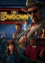 the lowdown tv poster