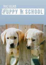 Watch Dog Squad: Puppy School 2kmovies