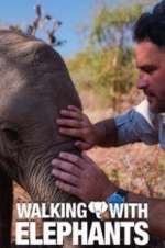 Watch Walking with Elephants 2kmovies