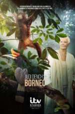 Watch Judi Dench\'s Wild Borneo Adventure Gomovies