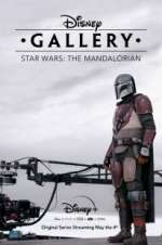 disney gallery: star wars: the mandalorian tv poster