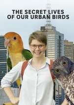 Watch The Secret Lives of Our Urban Birds Fmovies