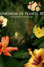 Watch Kingdom of Plants 3D Gomovies