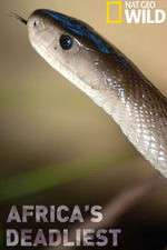 Watch Africas Deadliest Fmovies