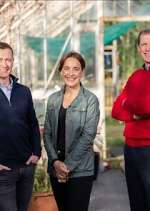 Watch Ear to the Ground 2kmovies