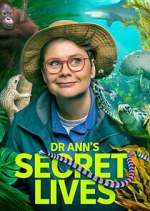 Watch Dr Ann\'s Secret Lives Fmovies